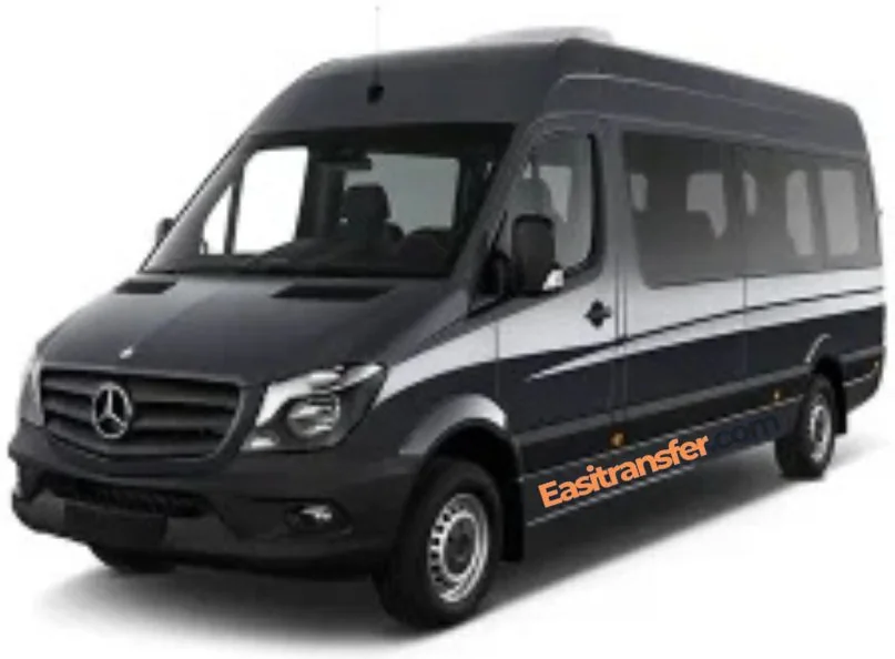 12 Seater Minibus available for hire with driver